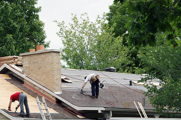 Best Cold Roofs  in Mount Olive, NC