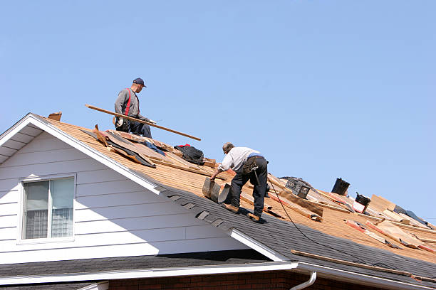 Best Roof Ventilation Installation  in Mount Olive, NC