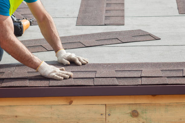 Best Roof Coating and Sealing  in Mount Olive, NC