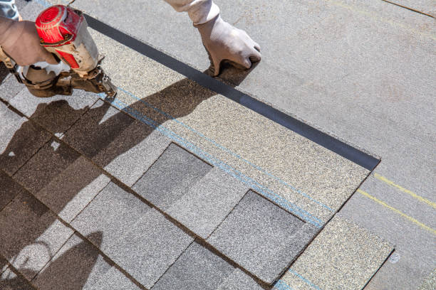 Best Storm Damage Roof Repair  in Mount Olive, NC